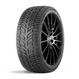 Doublestar Winterking DW08 205/60R16 92T